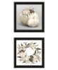 "BOHO Pumpkins and Flowers" 2-Piece Vignette by House Fenway; Ready to Hang Framed Print; Black Frame