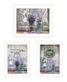 "Abundance of Beauty Collection" 3-Piece Vignette By Lori Deiter; Ready to Hang Framed Print; White Frame