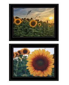 "Midwest Living Collection" 2-Piece Vignette By Donnie Quillen; Ready to Hang Framed Print; Black Frame