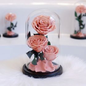 Two Or Three Roses Glass Cover Gift Box (Option: Meat Powder 3 Flowers)