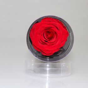 Creative Preserved Fresh Flower Cylinder Ornaments (Color: Red)