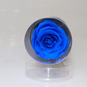 Creative Preserved Fresh Flower Cylinder Ornaments (Color: Blue)