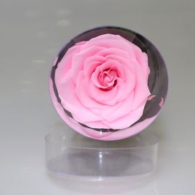 Creative Preserved Fresh Flower Cylinder Ornaments (Color: Pink)