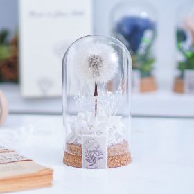 Mother's Day Gift Carnation Wishing Bottle Dandelion Preserved Fresh Flower Material Package (Option: White Dandelion)