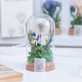 Mother's Day Gift Carnation Wishing Bottle Dandelion Preserved Fresh Flower Material Package (Option: Green Dandelion)