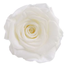 Household Fashion Simple Rose Perianth Diy Material (Color: White)