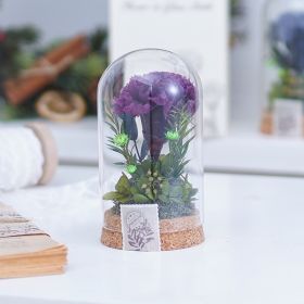 Mother's Day Gift Carnation Wishing Bottle Dandelion Preserved Fresh Flower Material Package (Option: Dark Purple Carnation)