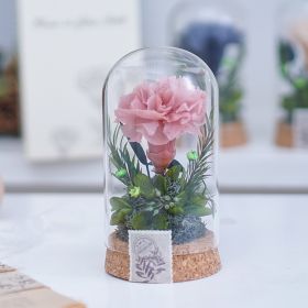 Mother's Day Gift Carnation Wishing Bottle Dandelion Preserved Fresh Flower Material Package (Option: Rubber Pink Carnation)