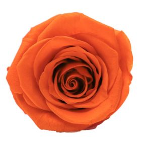 Household Fashion Simple Rose Perianth Diy Material (Color: Orange)