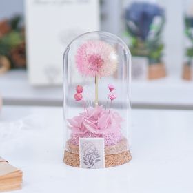 Mother's Day Gift Carnation Wishing Bottle Dandelion Preserved Fresh Flower Material Package (Option: Pink Colorful Wishing Bottle)