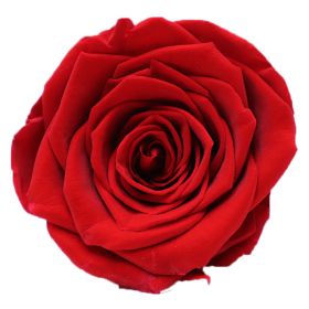 Household Fashion Simple Rose Perianth Diy Material (Color: Red)