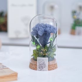 Mother's Day Gift Carnation Wishing Bottle Dandelion Preserved Fresh Flower Material Package (Option: Gray Carnation)