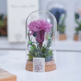 Mother's Day Gift Carnation Wishing Bottle Dandelion Preserved Fresh Flower Material Package (Option: Purplish Red Carnation)