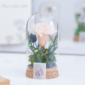 Mother's Day Gift Carnation Wishing Bottle Dandelion Preserved Fresh Flower Material Package (Option: Champagne Carnation)