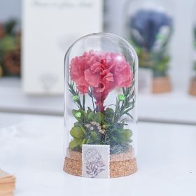 Mother's Day Gift Carnation Wishing Bottle Dandelion Preserved Fresh Flower Material Package (Option: Rouge Carnation)