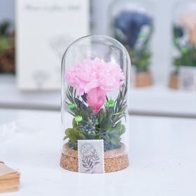 Mother's Day Gift Carnation Wishing Bottle Dandelion Preserved Fresh Flower Material Package (Option: Light Pink Carnation)