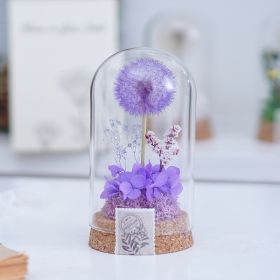 Mother's Day Gift Carnation Wishing Bottle Dandelion Preserved Fresh Flower Material Package (Option: Purple Wishing Bottle)