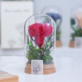 Mother's Day Gift Carnation Wishing Bottle Dandelion Preserved Fresh Flower Material Package (Option: Red Carnation Glue Tweezers)