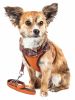 Pet Life Luxe 'Pawsh' 2-In-1 Mesh Reversed Adjustable Dog Harness-Leash W/ Fashion Bowtie