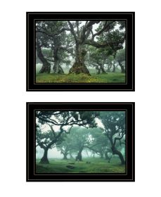 "Enchanted Forest Collection" 2-Piece Vignette By Martin Podt; Ready to Hang Framed Print; Black Frame (Color: as Pic)