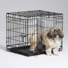 Double Door iCrate Metal Dog Crate, 42"