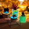 100pcs/bag Glow In The Dark Stones, Glow Rocks Decor Pebbles Stones For Fish Tank, Aquarium Decoration Suitable For All Kinds Of Landscaping