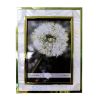 High Quality Home Decoration Metal Shell Photo Frame 3-10 Inch Back Polished Alloy Flocking Wedding Photo Bedside Table Ornament