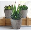 5Pcs Artificial Succulent Cactus Plants; Faux Succulent Cactus Plants with Gray Pots for Home Decor