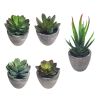 5Pcs Artificial Succulent Cactus Plants; Faux Succulent Cactus Plants with Gray Pots for Home Decor