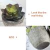 5Pcs Artificial Succulent Cactus Plants; Faux Succulent Cactus Plants with Gray Pots for Home Decor